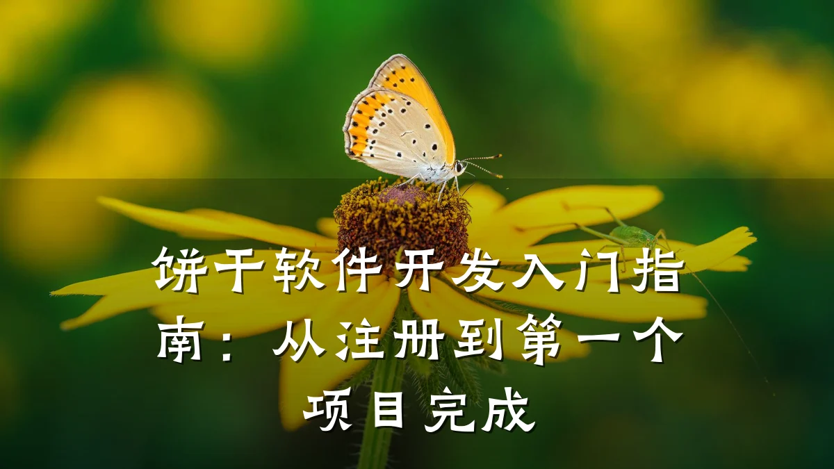 饼干软件开发入门指南：从注册到第一个项目完成