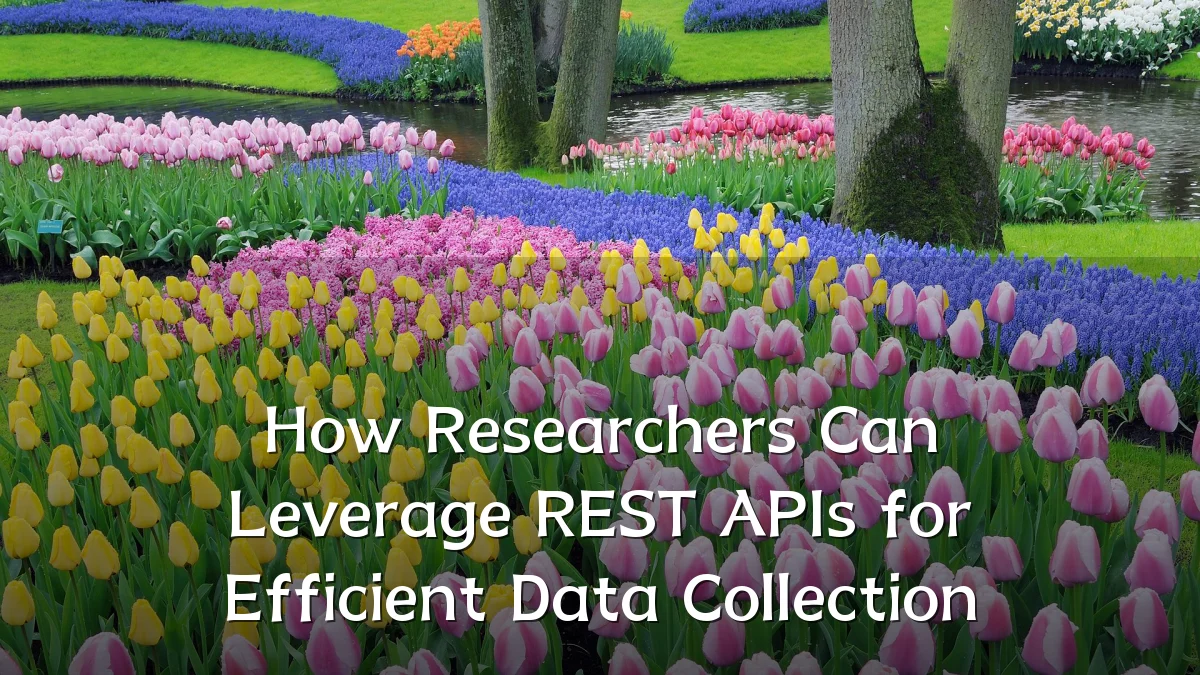 How Researchers Can Leverage REST APIs for Efficient Data Collection