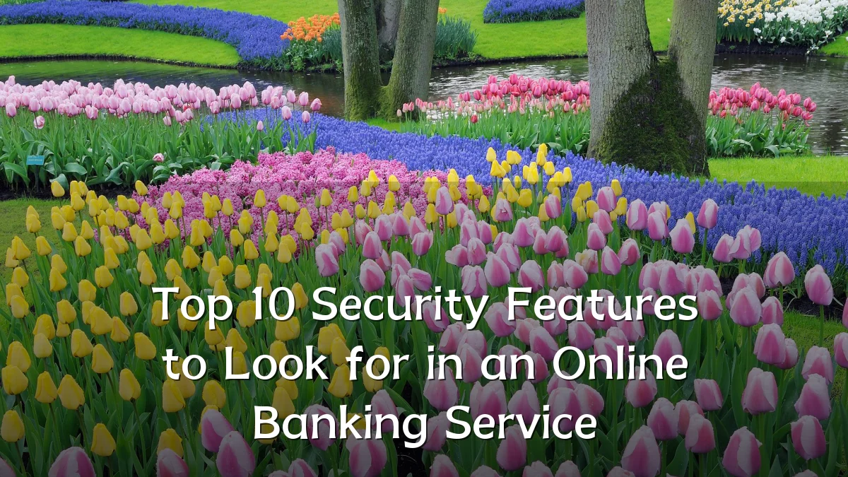 Top 10 Security Features to Look for in an Online Banking Service