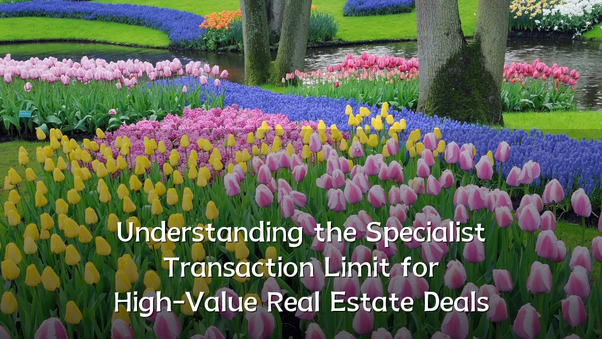 Understanding the Specialist Transaction Limit for High-Value Real Estate Deals