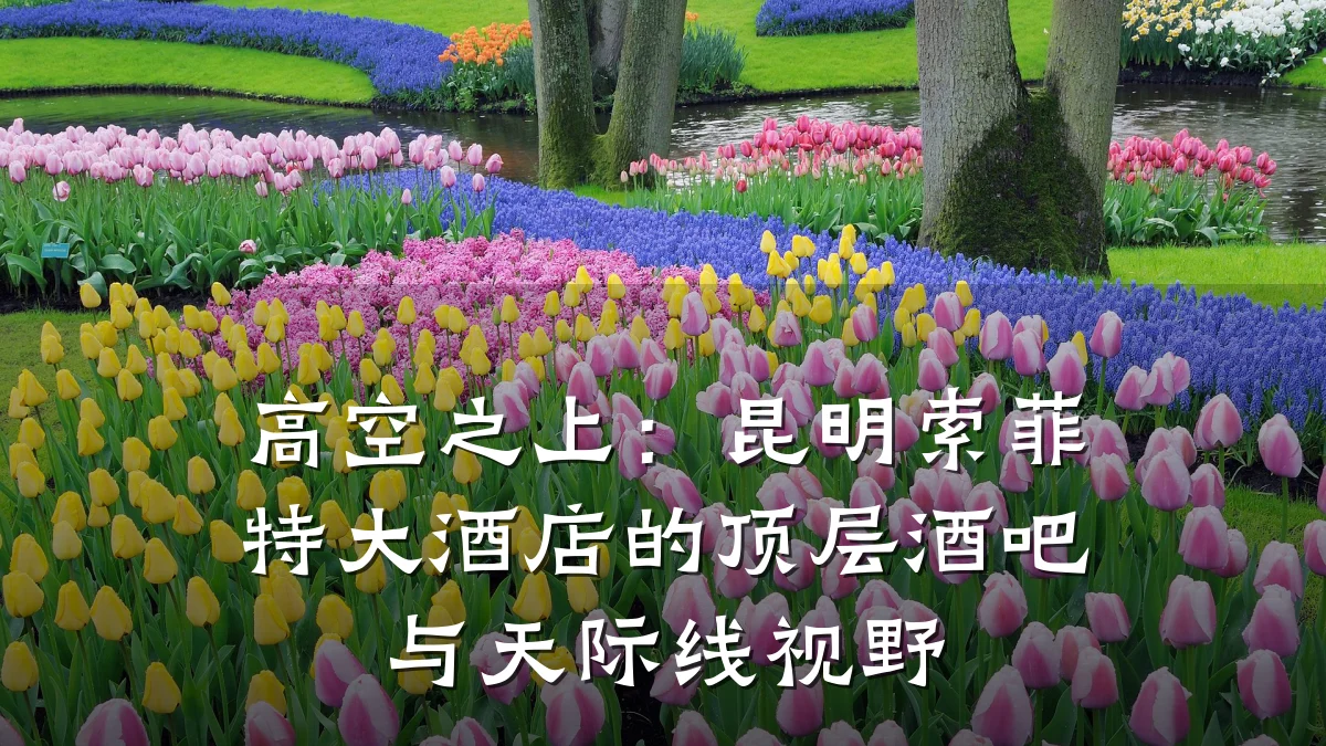 高空之上：昆明索菲特大酒店的顶层酒吧与天际线视野