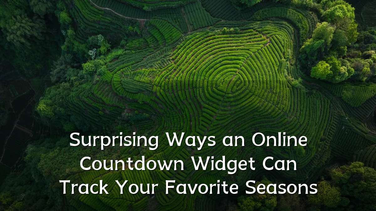 Surprising Ways an Online Countdown Widget Can Track Your Favorite Seasons