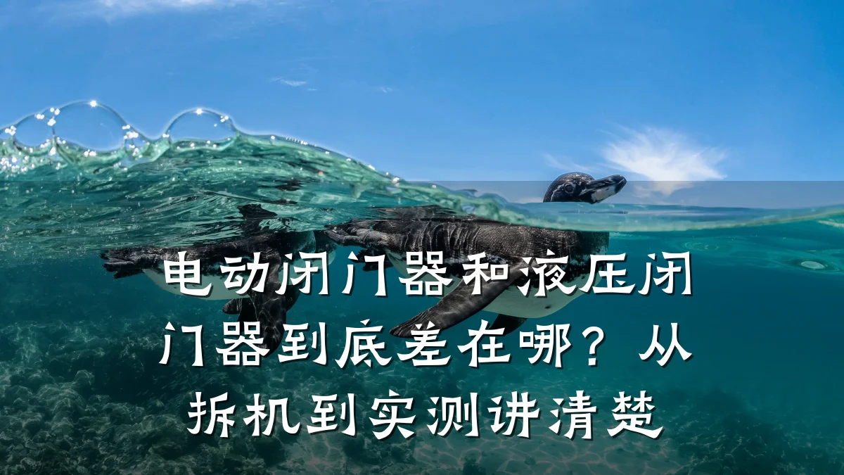 电动闭门器和液压闭门器到底差在哪？从拆机到实测讲清楚