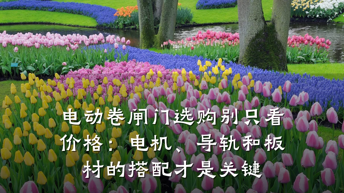 电动卷闸门选购别只看价格：电机、导轨和板材的搭配才是关键