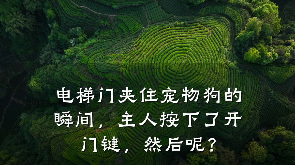 电梯门夹住宠物狗的瞬间,主人按下了开门键,然后呢?