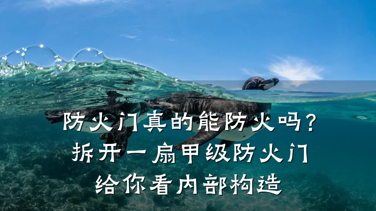 防火门真的能防火吗？拆开一扇甲级防火门给你看内部构造