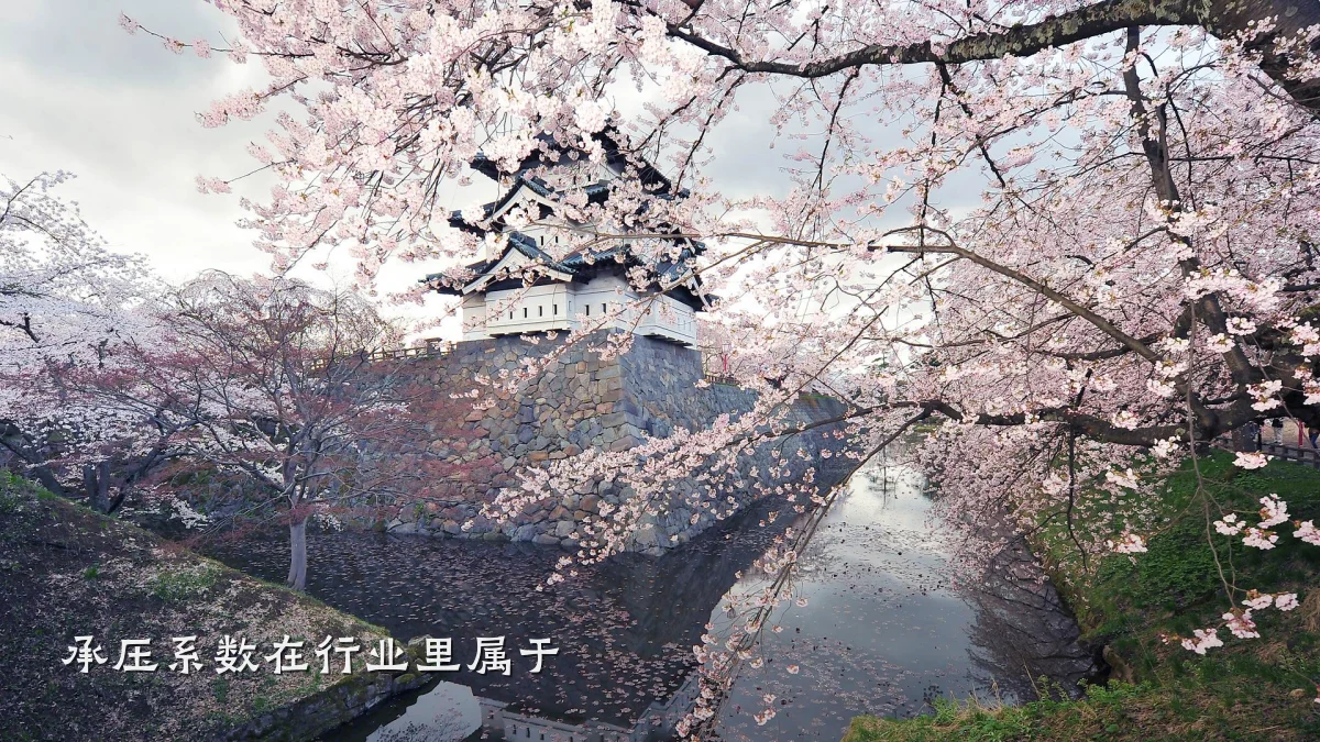 承压系数在行业里属于