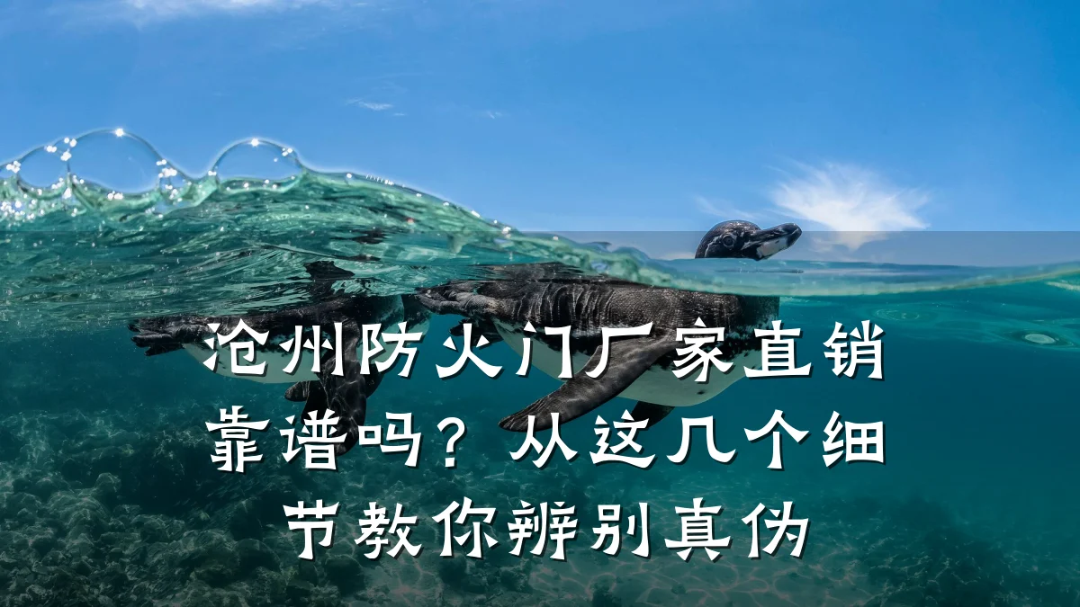 沧州防火门厂家直销靠谱吗？从这几个细节教你辨别真伪