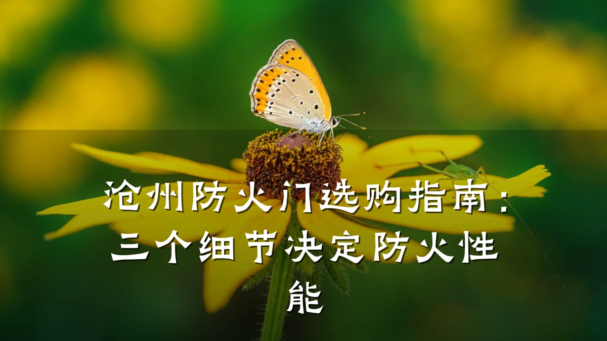 沧州防火门选购指南：三个细节决定防火性能