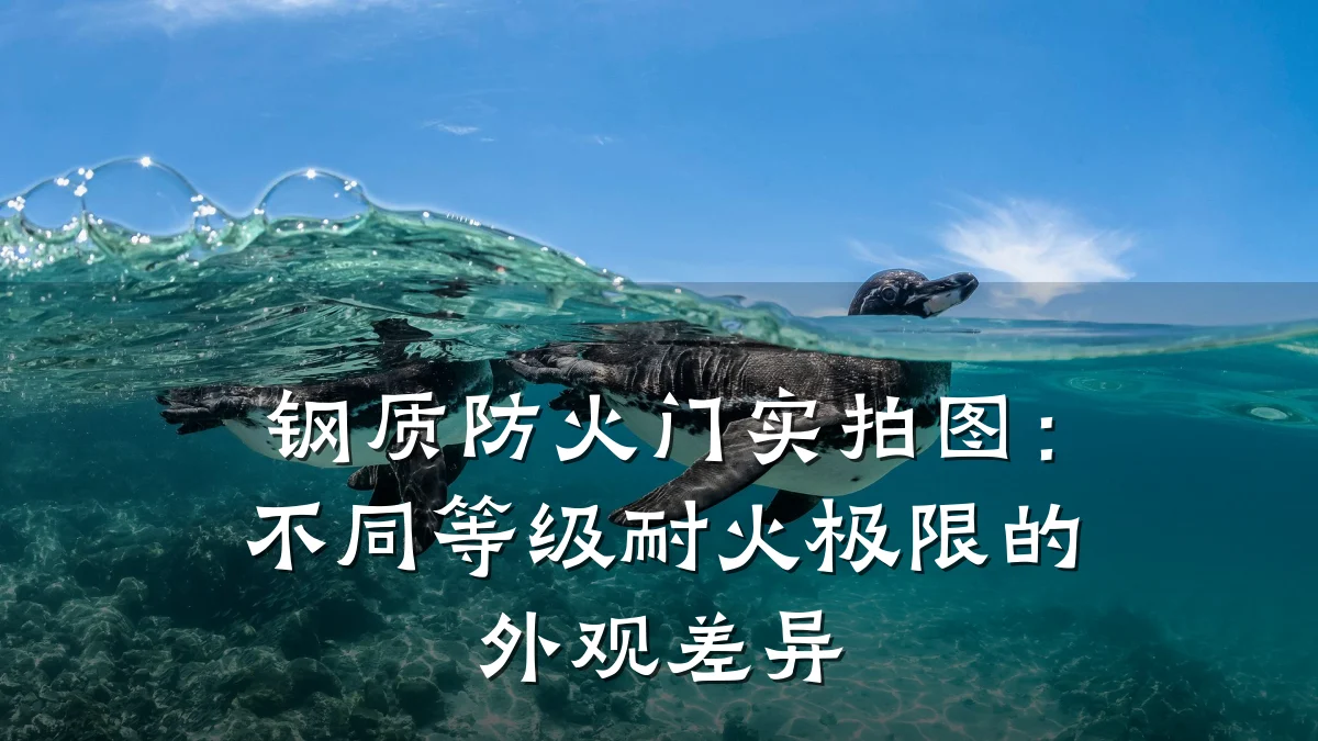 钢质防火门实拍图:不同等级耐火极限的外观差异