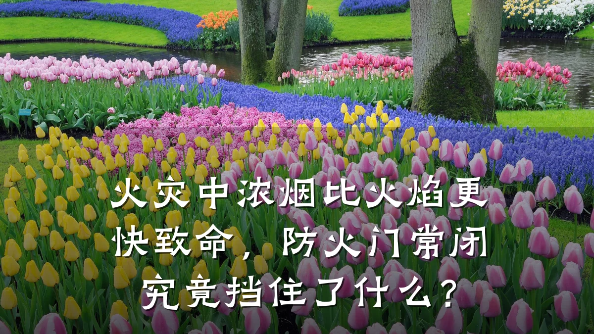 火灾中浓烟比火焰更快致命,防火门常闭究竟挡住了什么?