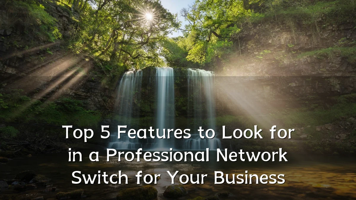 Top 5 Features to Look for in a Professional Network Switch for Your Business