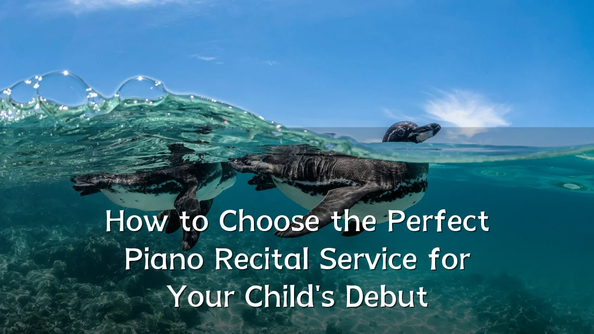 How to Choose the Perfect Piano Recital Service for Your Child's Debut