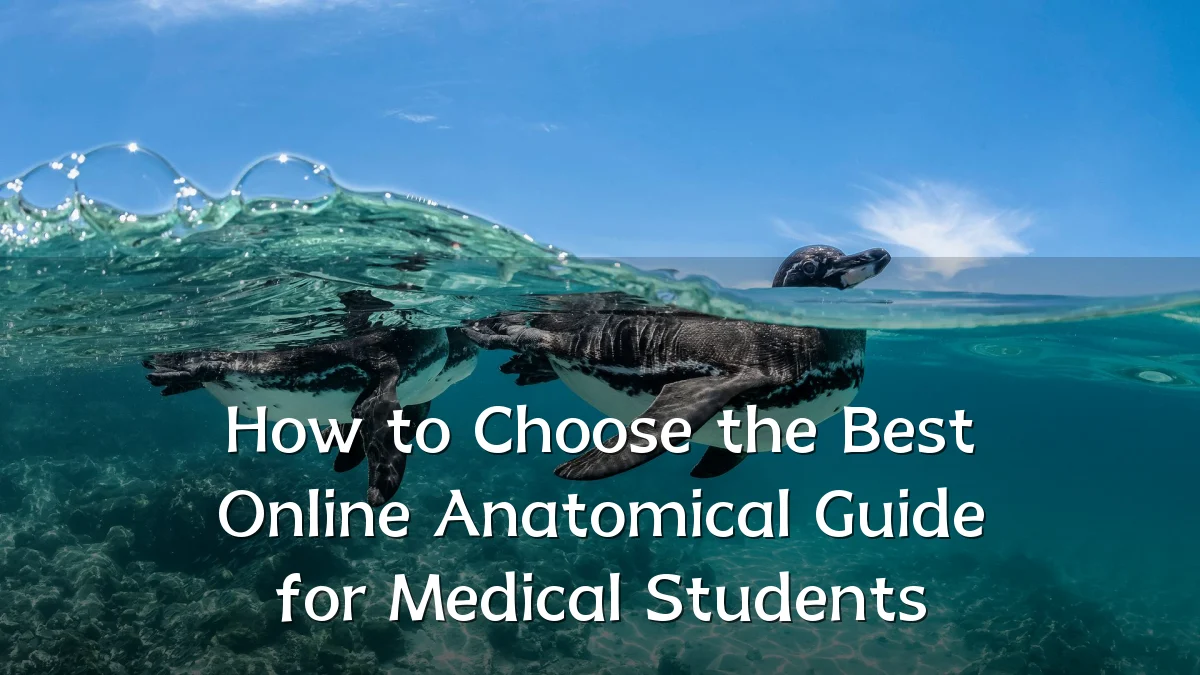 How to Choose the Best Online Anatomical Guide for Medical Students