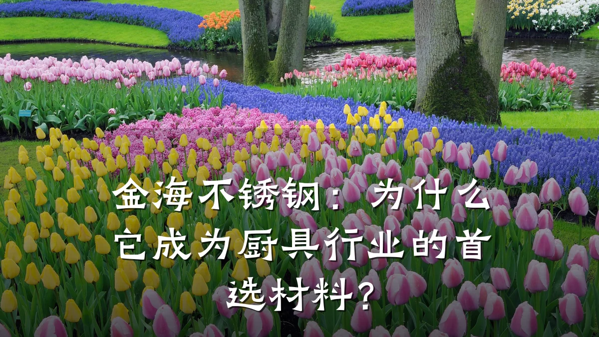 金海不锈钢:为什么它成为厨具行业的首选材料?