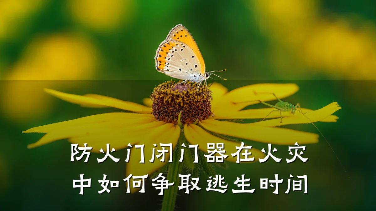防火门闭门器在火灾中如何争取逃生时间